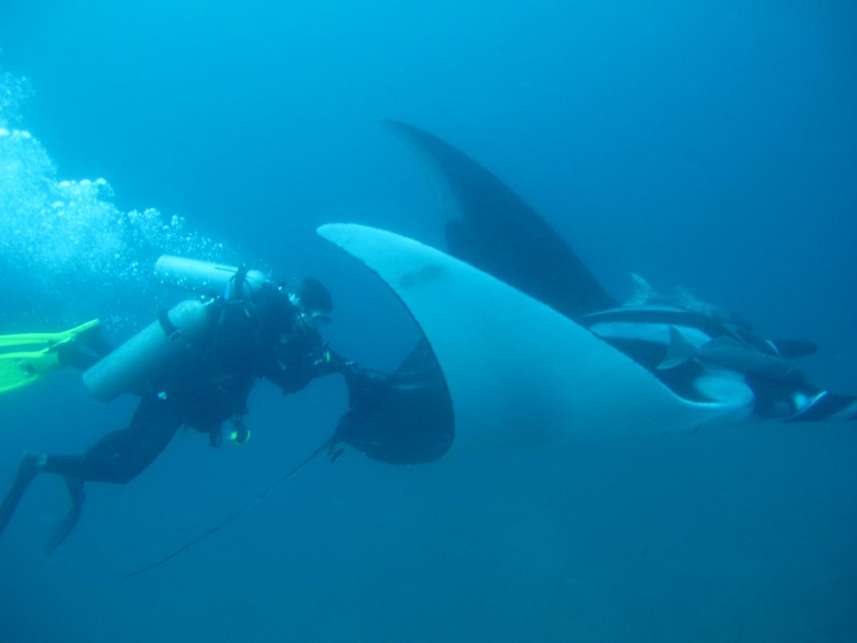 Mantaraya Lodge Puerto López Esterno foto